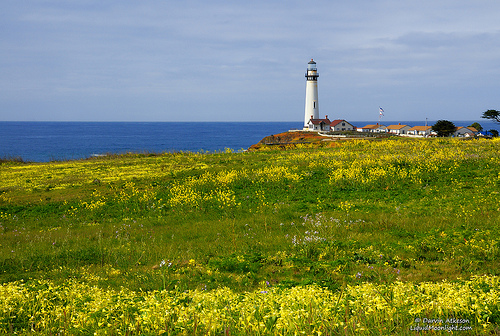 Springtime At Pigeon Point Lighthouse Photo Sharing
