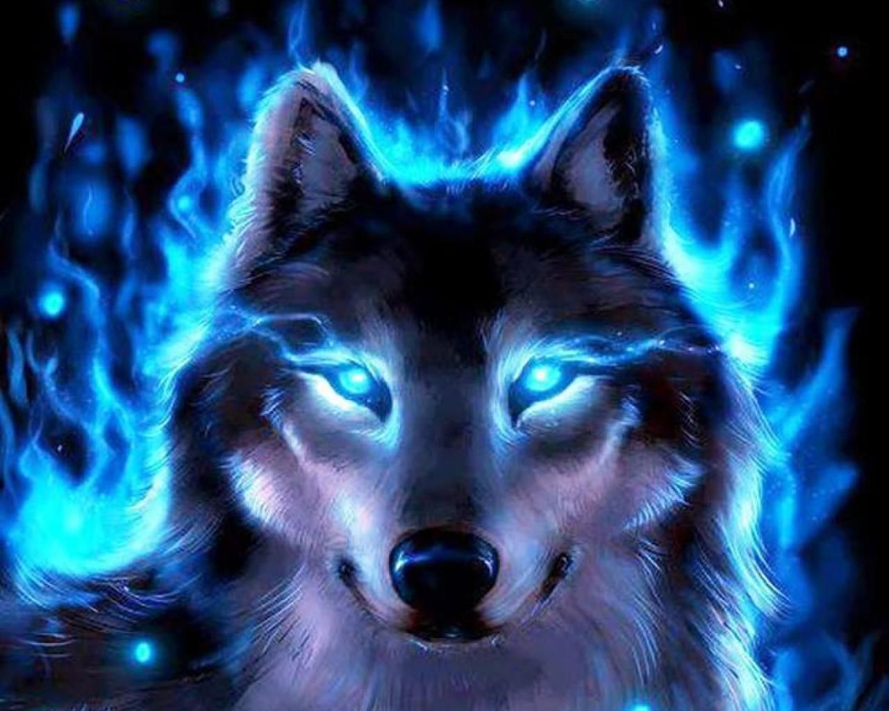 Cool Wolf Wallpaper Top Background