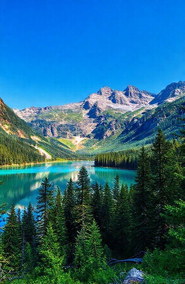 High Definition Wallpaper
