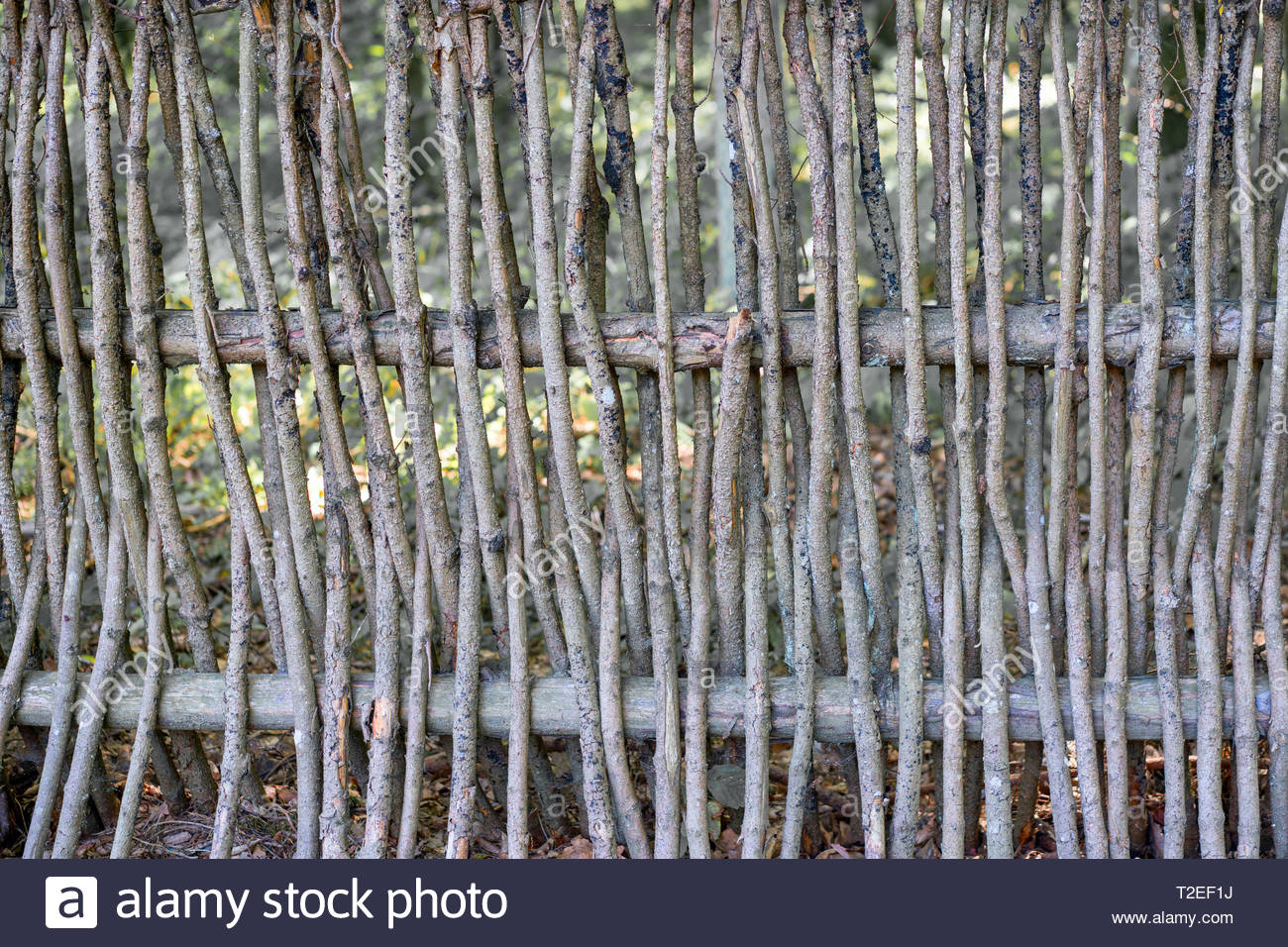 Wall Of Willow Twigs As Background Rural Old Fence Made From