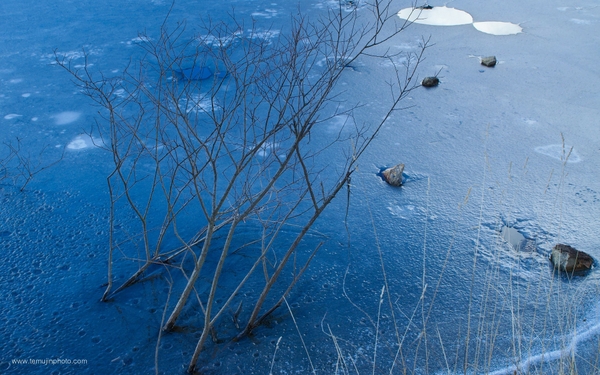Frozen Pond Lakes Wallpaper