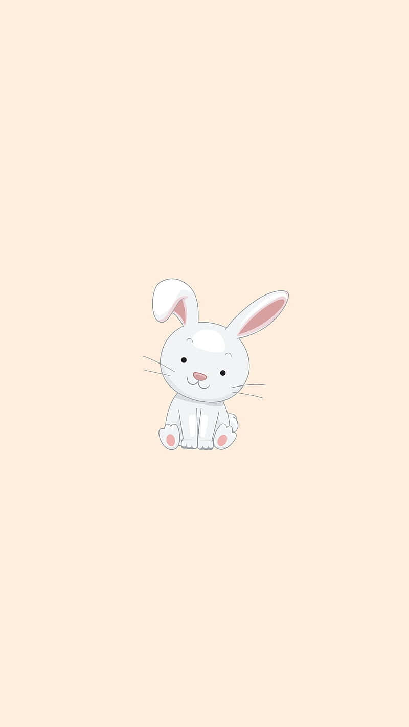 Bunny Aesthetic Wallpaper