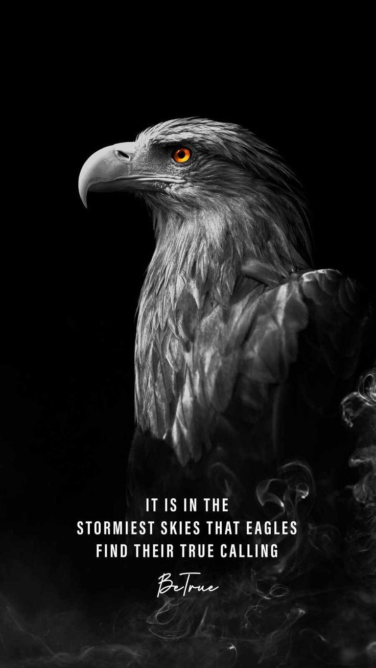 Eagle Quote iPhone Wallpaper Eagles Quotes