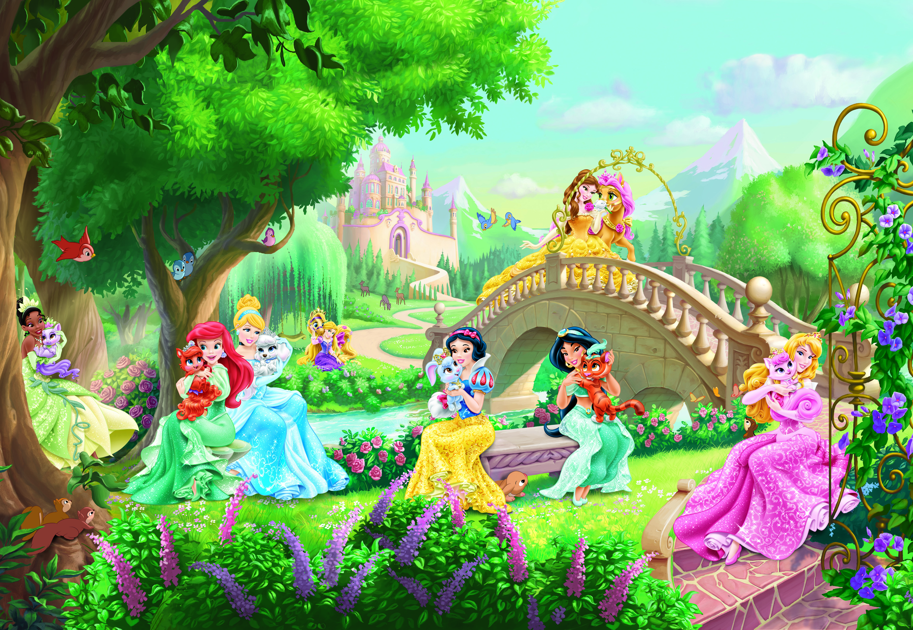 Xl Murals Disney Princess