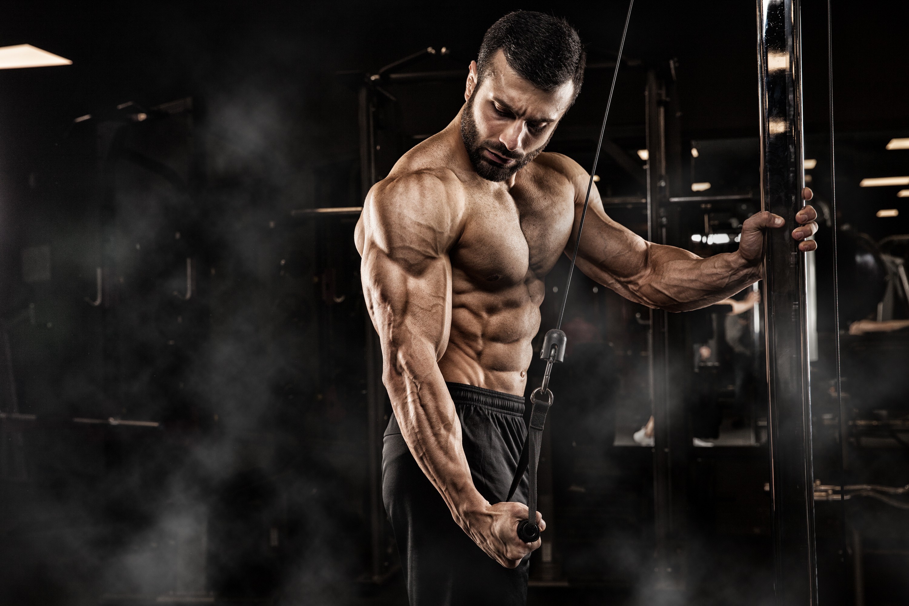 Bodybuilding Wallpaper