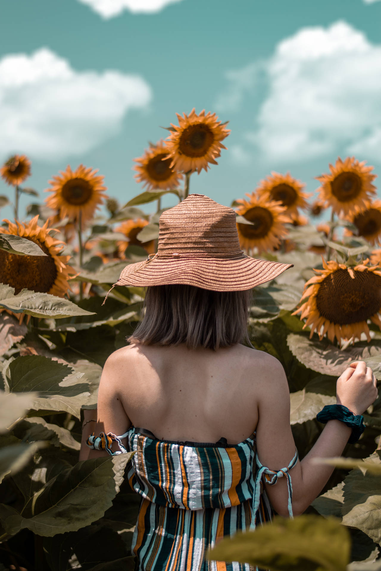 Sunflower Aesthetic Wallpaper