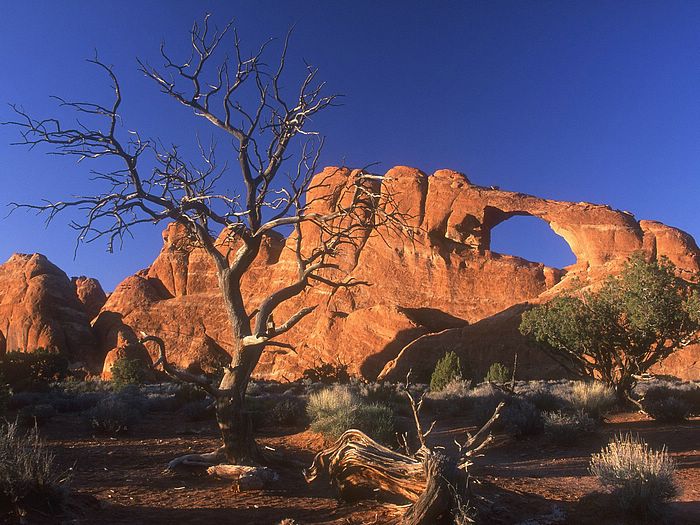  Vol5 Worldwide Natural Landscapes Photography   Arid Desert Utah 5 700x525