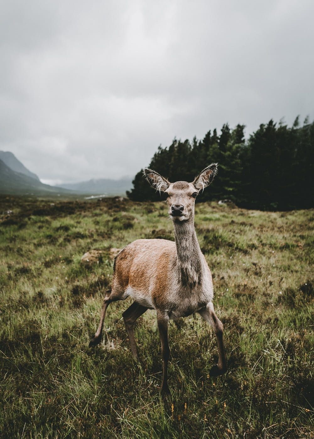 Scottish Highlands Snowdonia By Hollie Harmsworth Faroe
