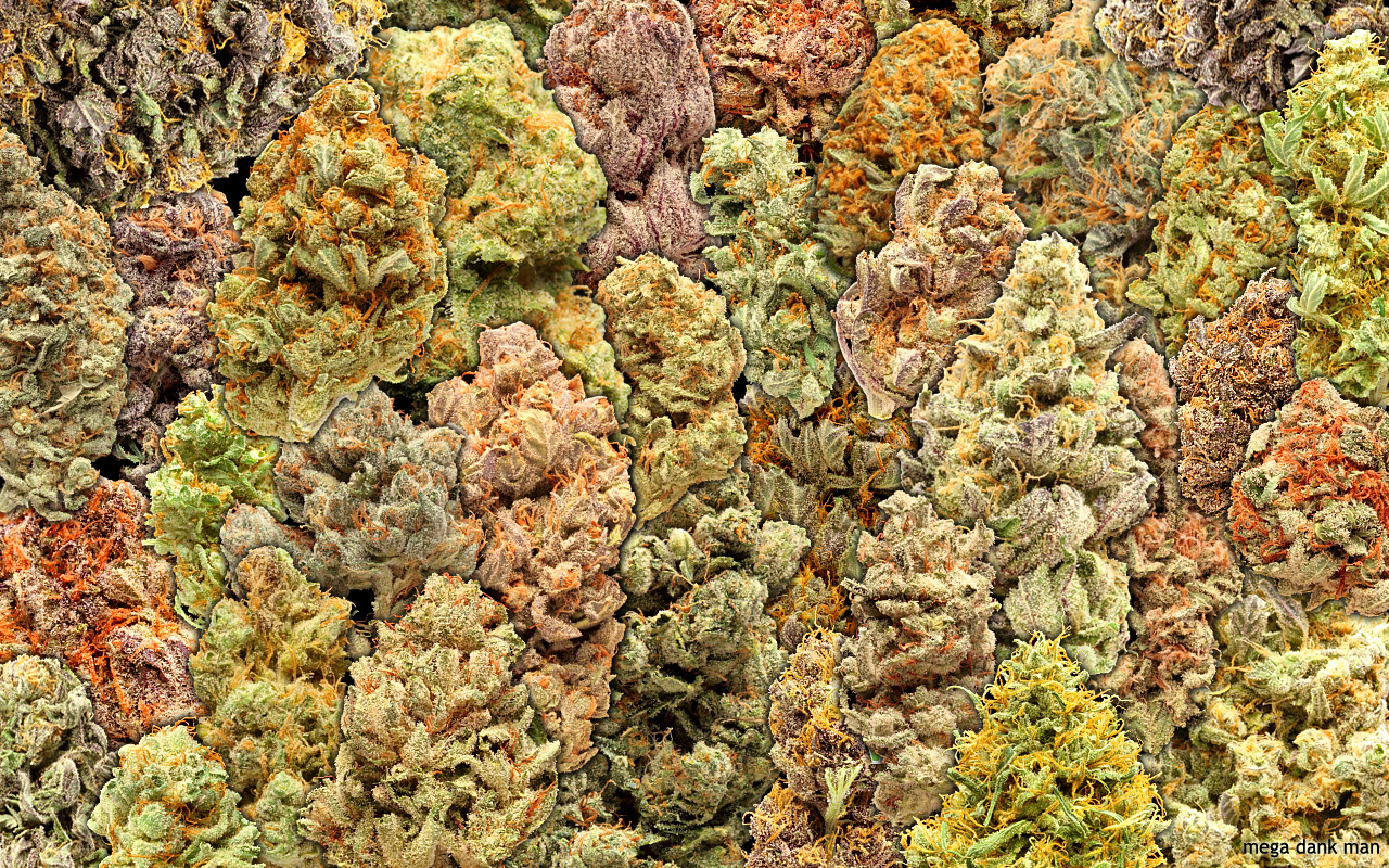 Weed Buds Wallpaper
