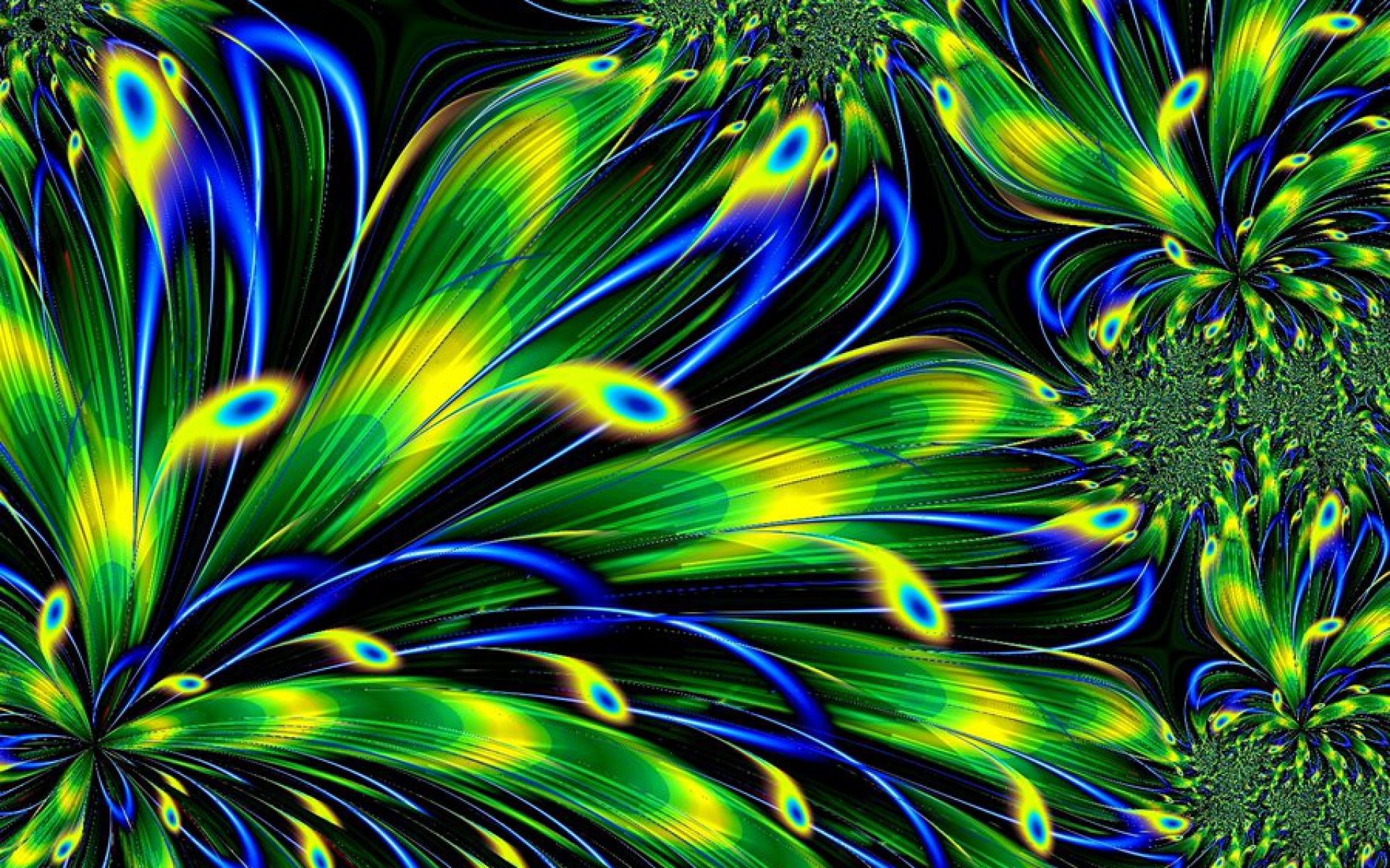 Abstract Peacock Feathers HD Wallpaper Background Image