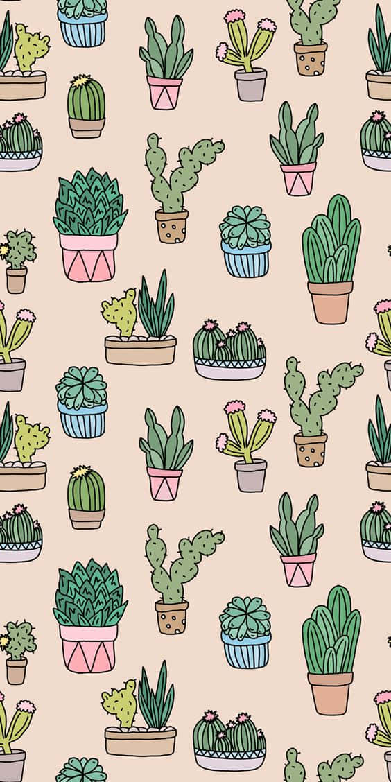 Cactus iPhone Wallpaper