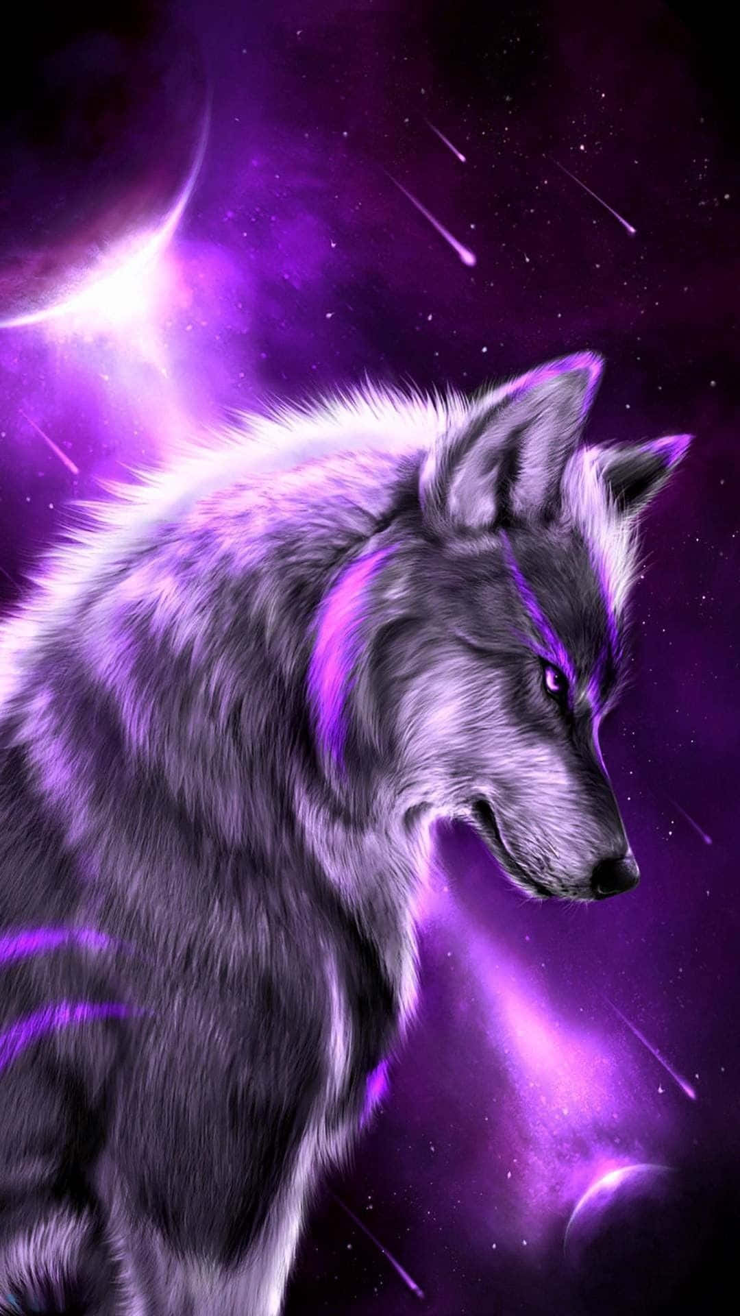 Wolf iPhone Wallpaper