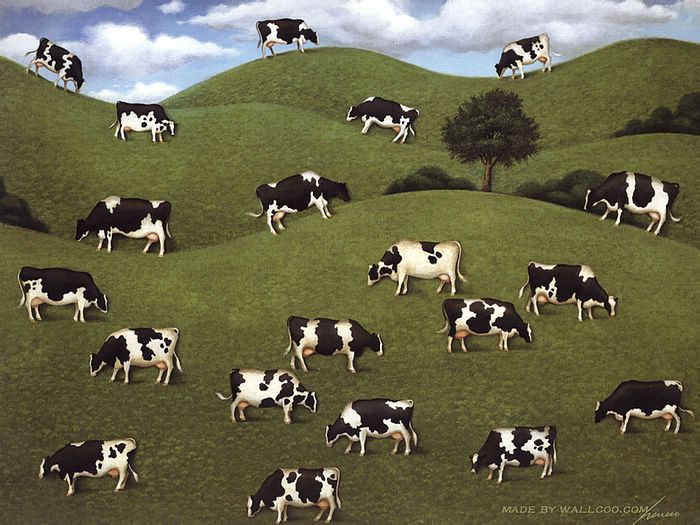 Cows Wallpaper Funny Farm Animal Paintings