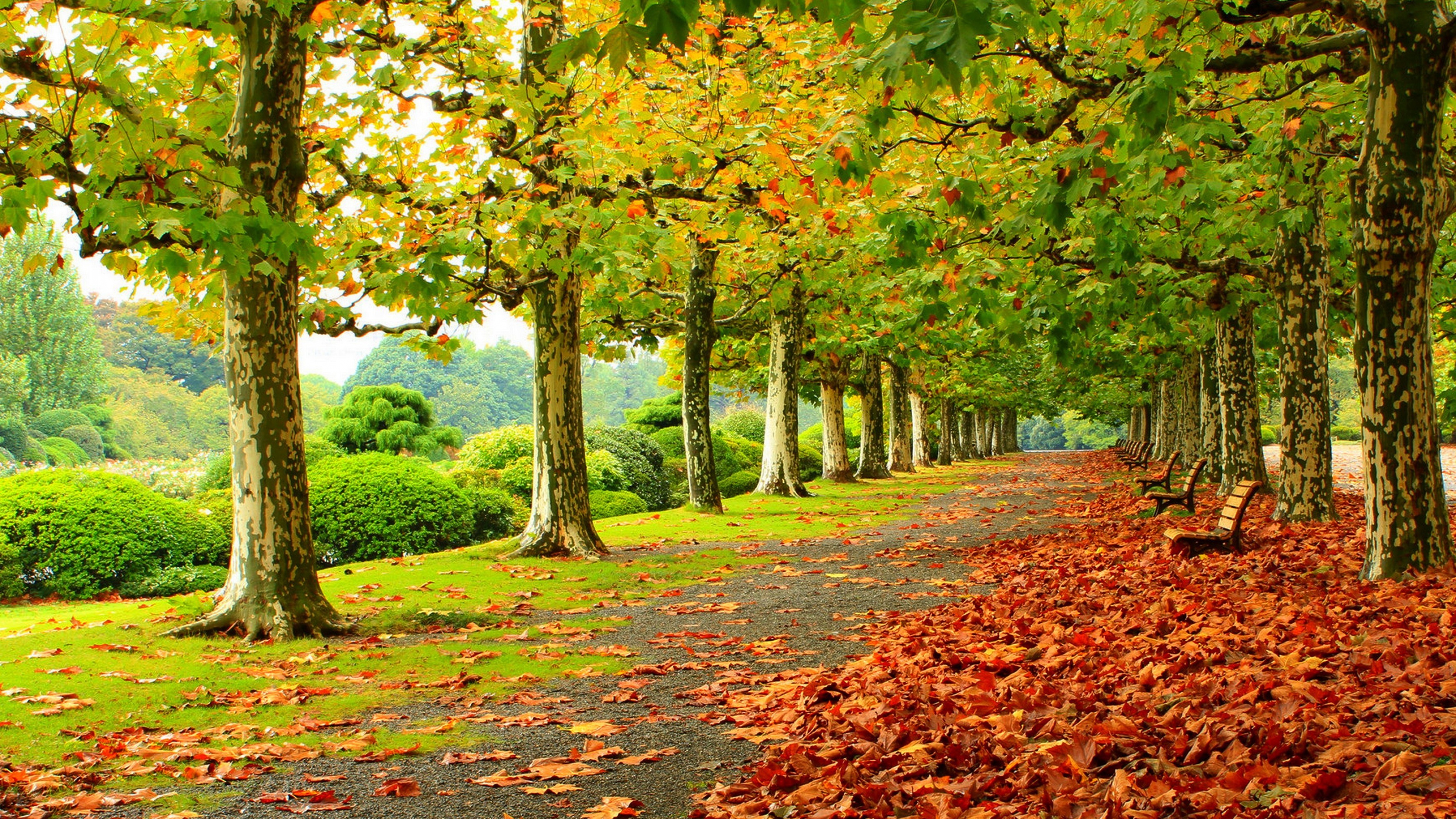 Autumn Scenery Wallpaper Pictures Image