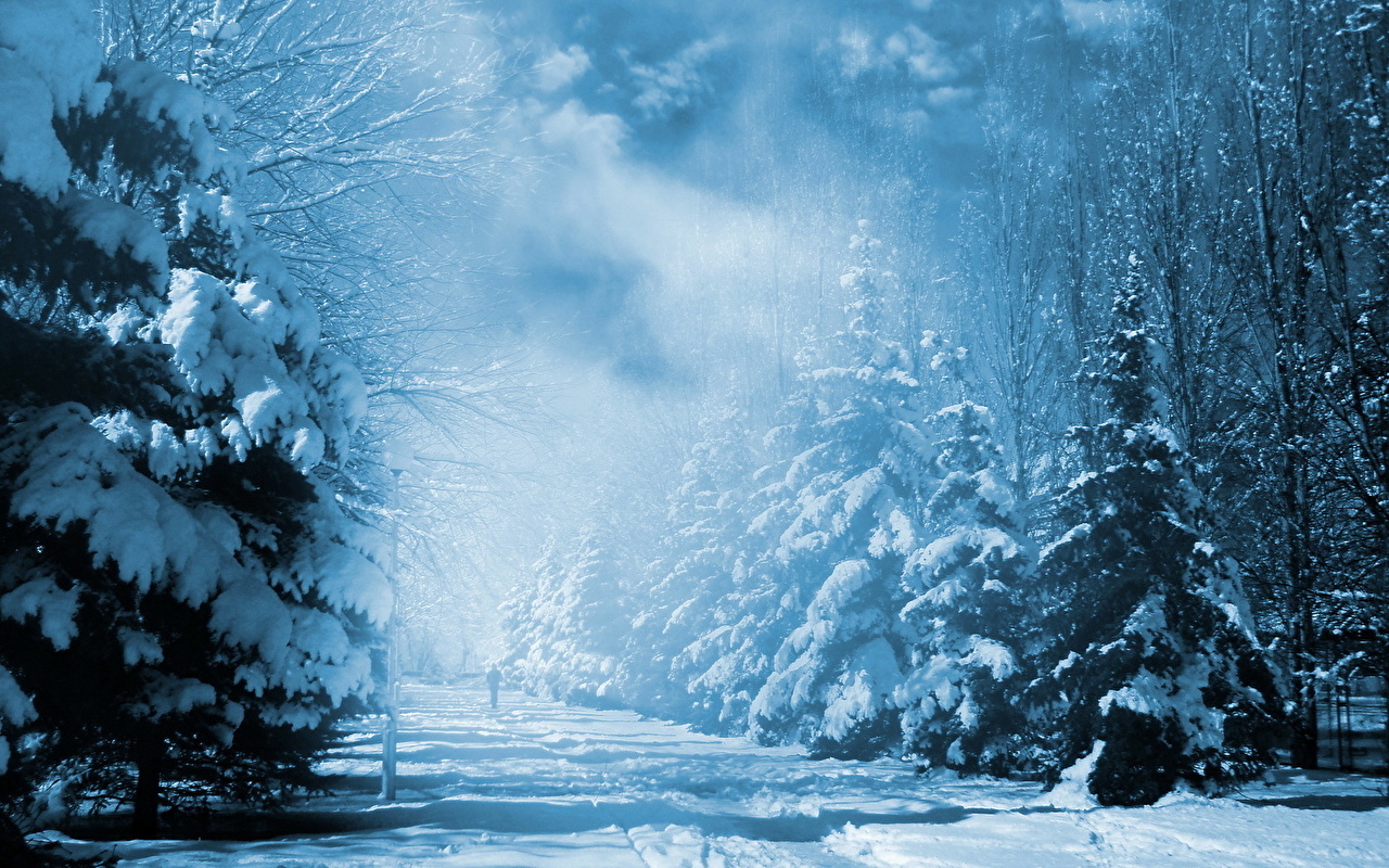 Desktop Wallpaper Winter Nature Snow Seasons