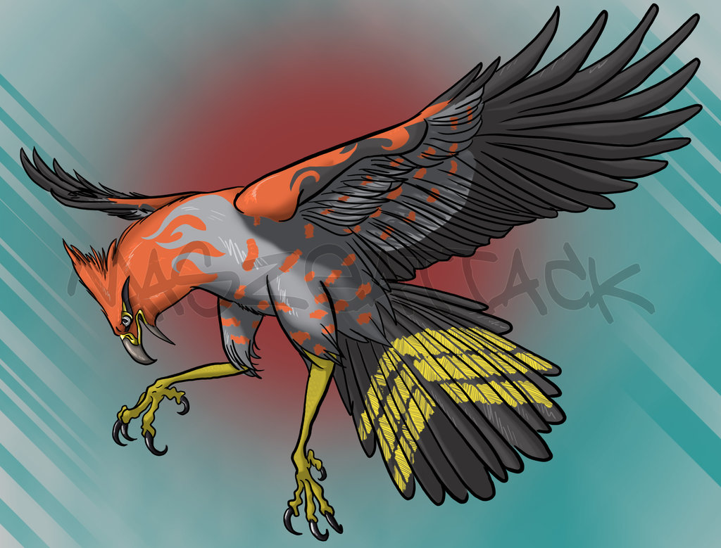 Realistic Talonflame by Maszeattack on