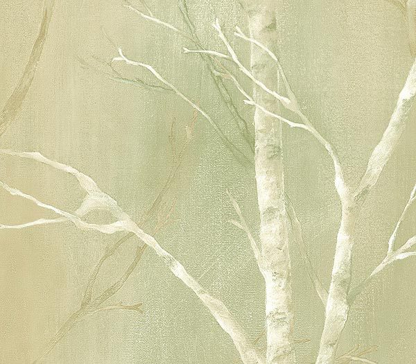 Green Birch Trees Wallpaper Traditional