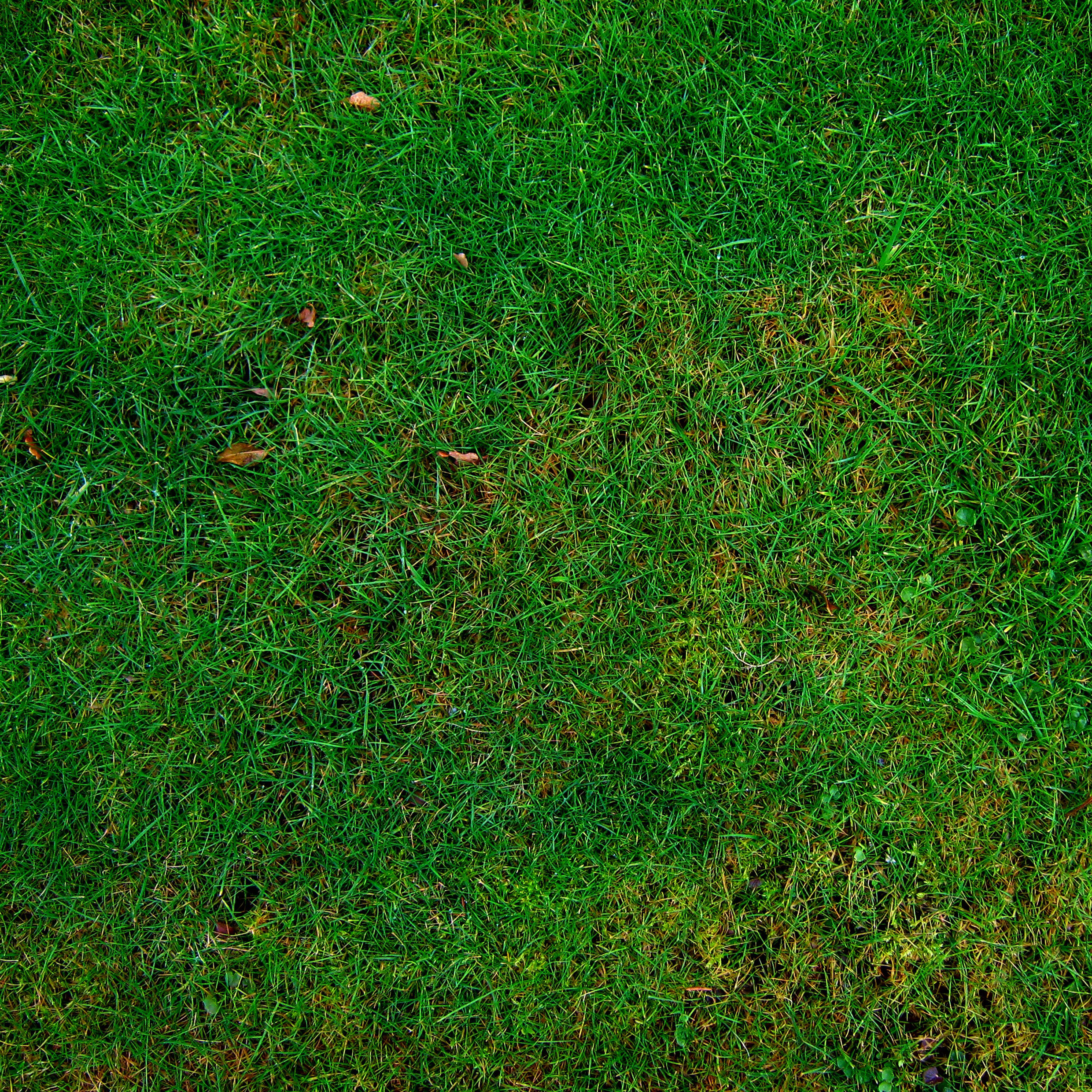 Seven Grass Textures Or Lawn Background Image