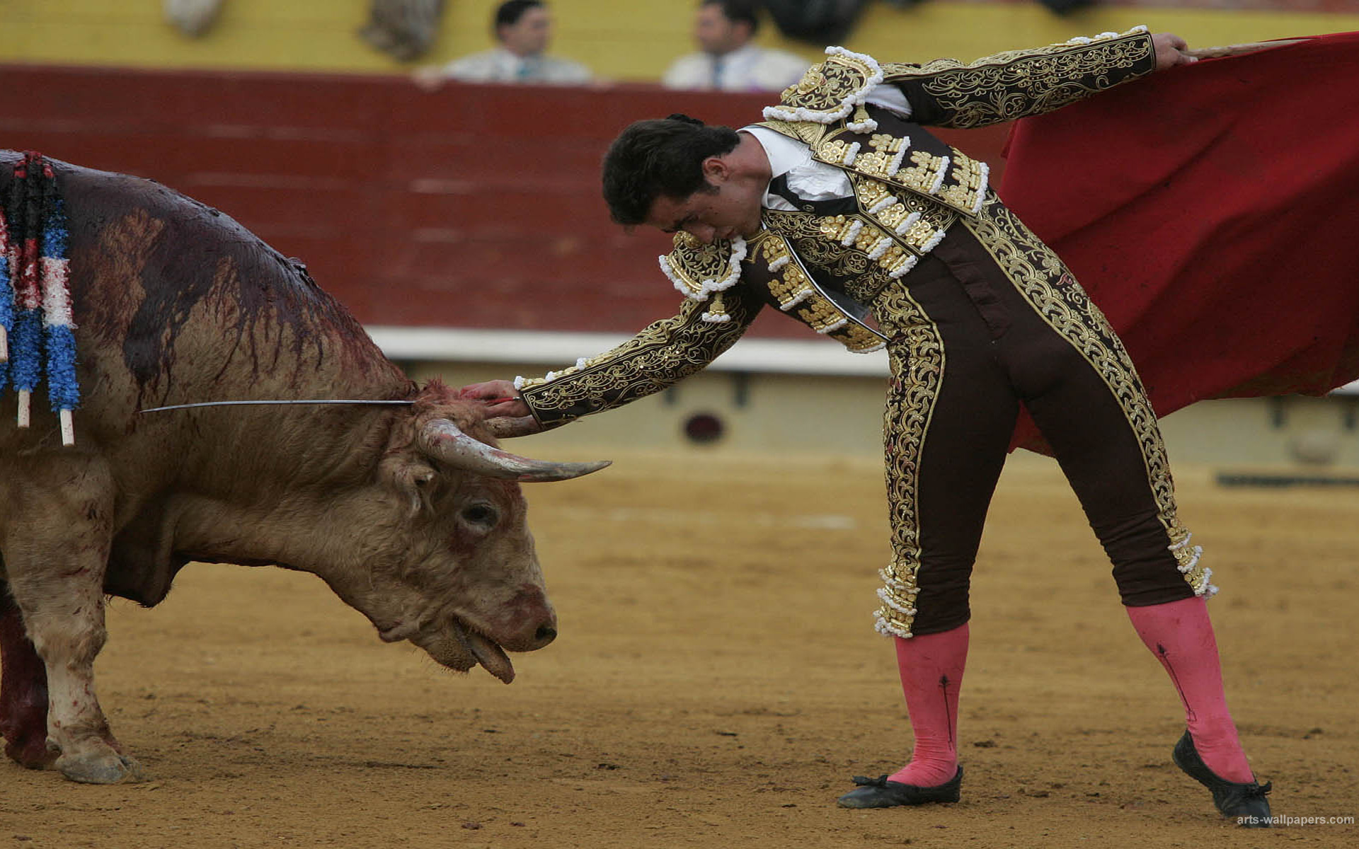 Bullfighting Wallpaper Spain Art Prints Desktop