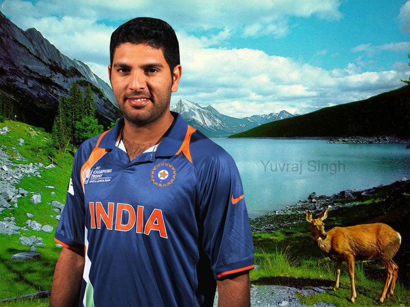 Free download Wallpapers Download Yuvraj Singh Latest Wallpapers 2012  [800x600] for your Desktop, Mobile & Tablet | Explore 49+ New Wallpapers  Download | New Wallpaper, Wallpaper HD New Download, New HD Wallpapers Free  Download