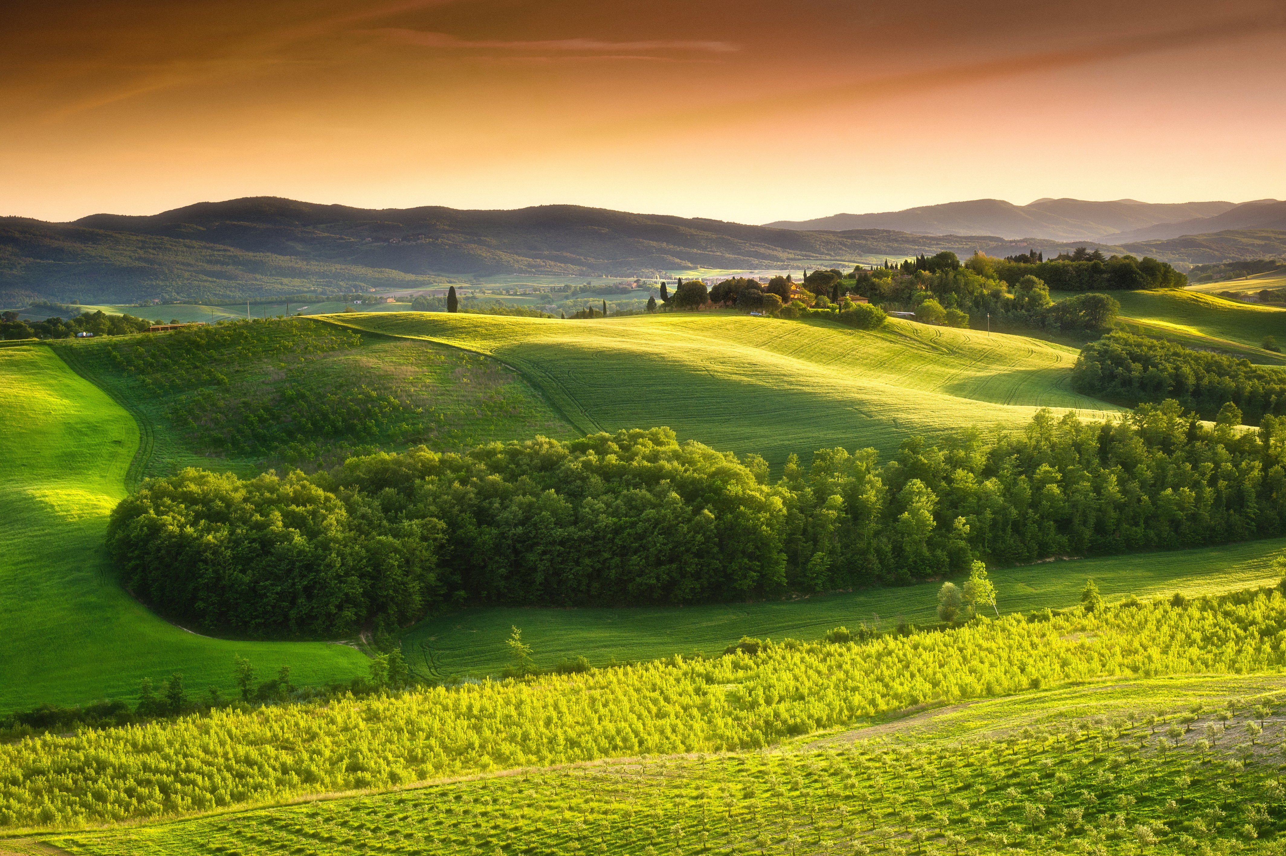 Italy Scenery Fields Tuscany Nature Wallpaper