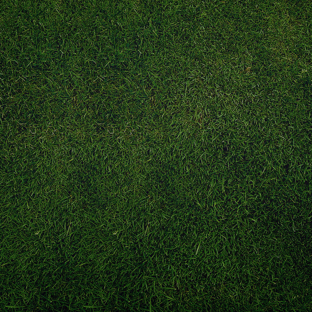 Sniperyu Plain Green Grass Texture iPad Wallpaper