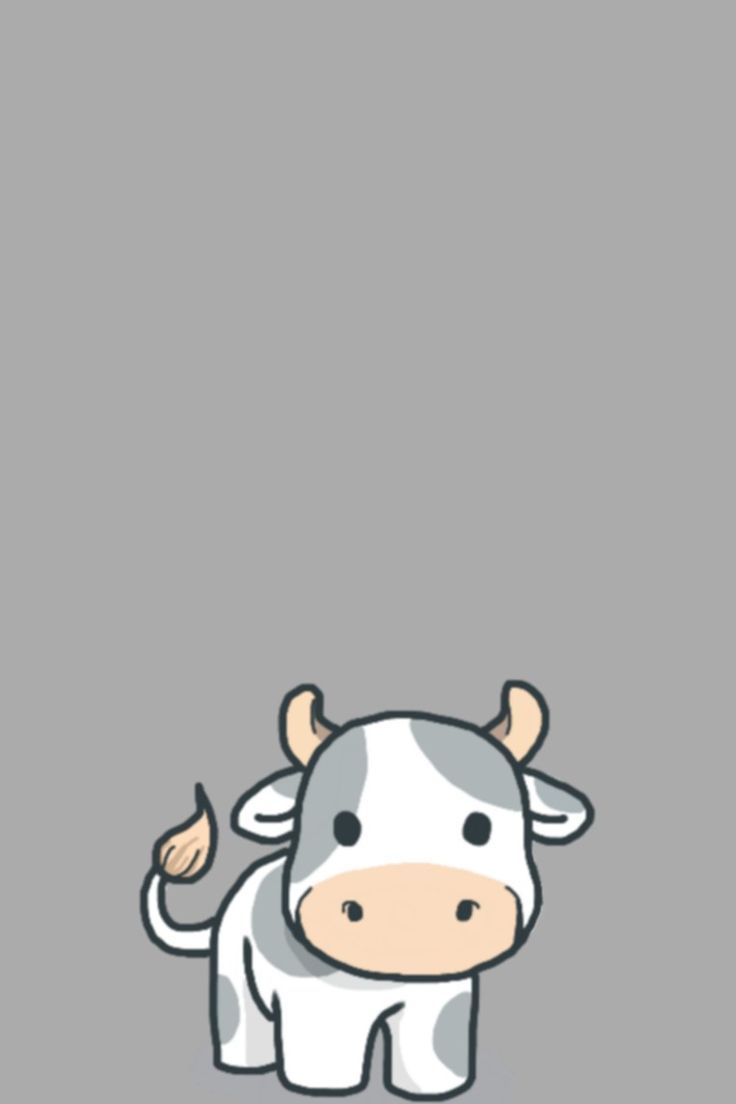 Cow Wallpaper On