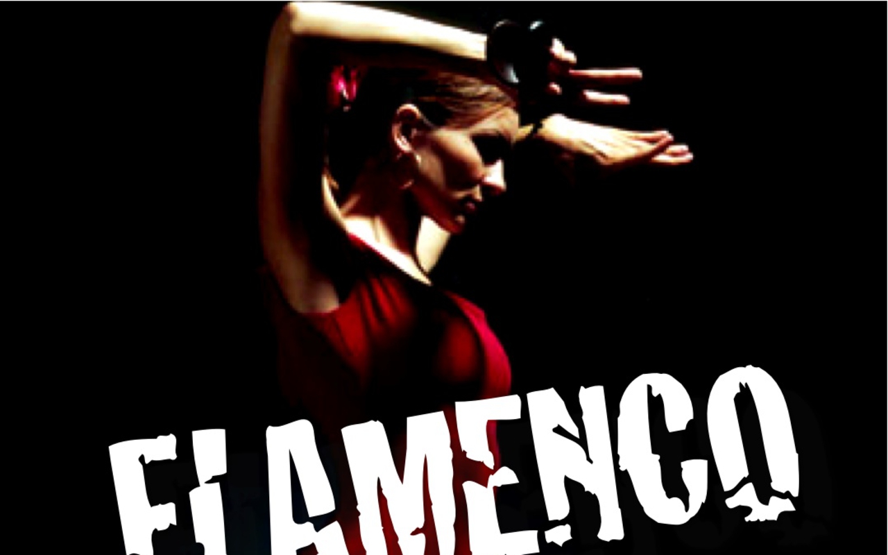 Flamenco Image HD Wallpaper And Background