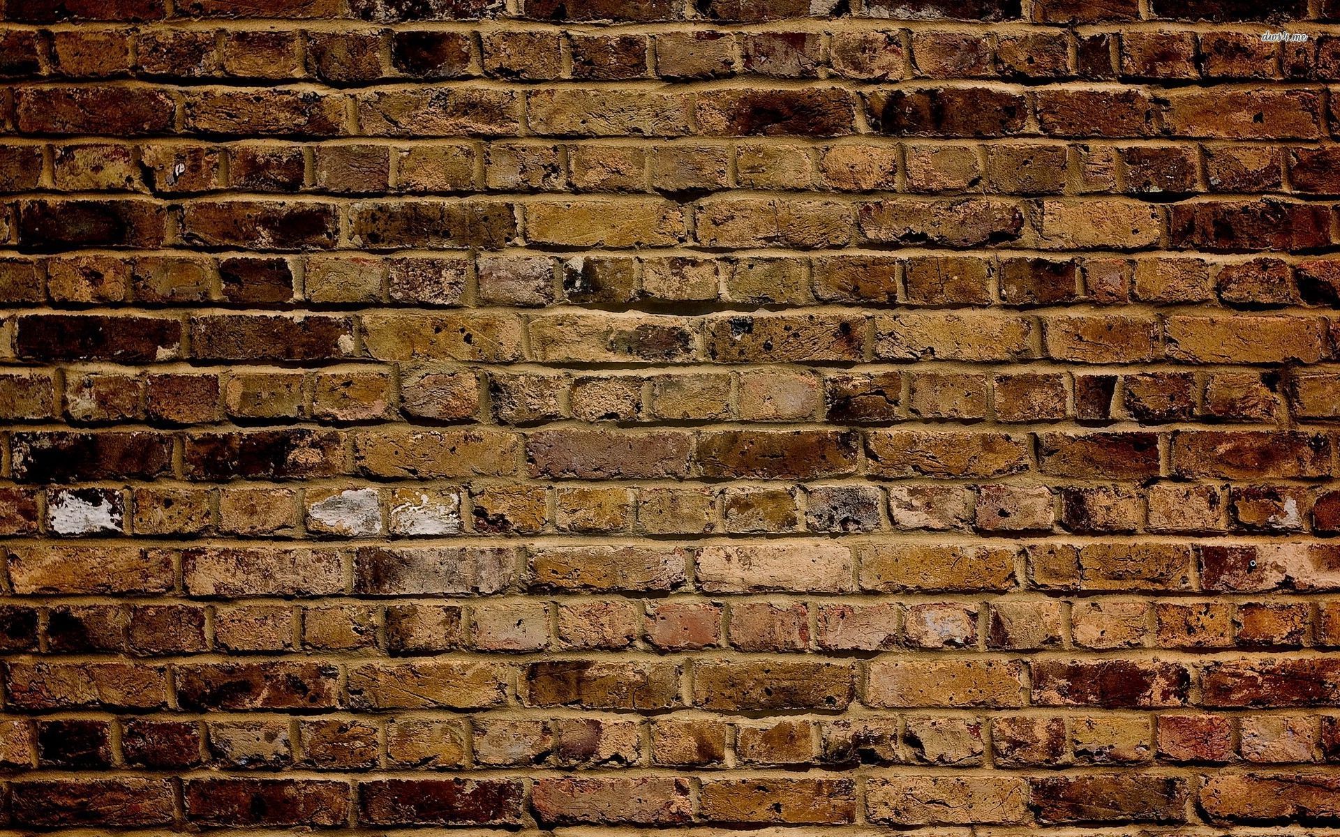 Brick Wall Wallpaper Photography