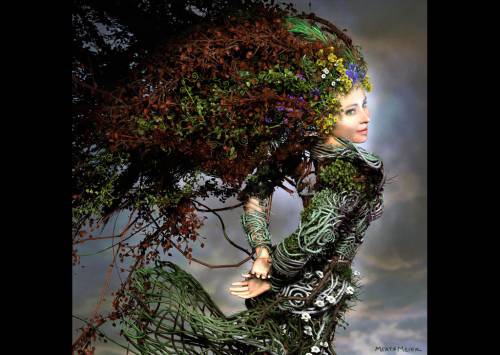 Mother Nature Series By M Meier Desktop Wallpaper X Pixels
