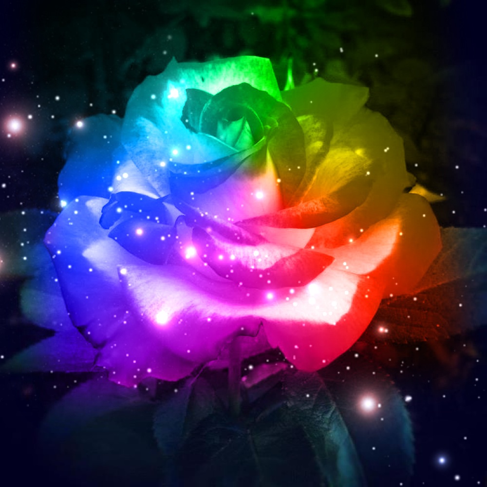 Rainbow Galaxy Rose by missjanellexo on
