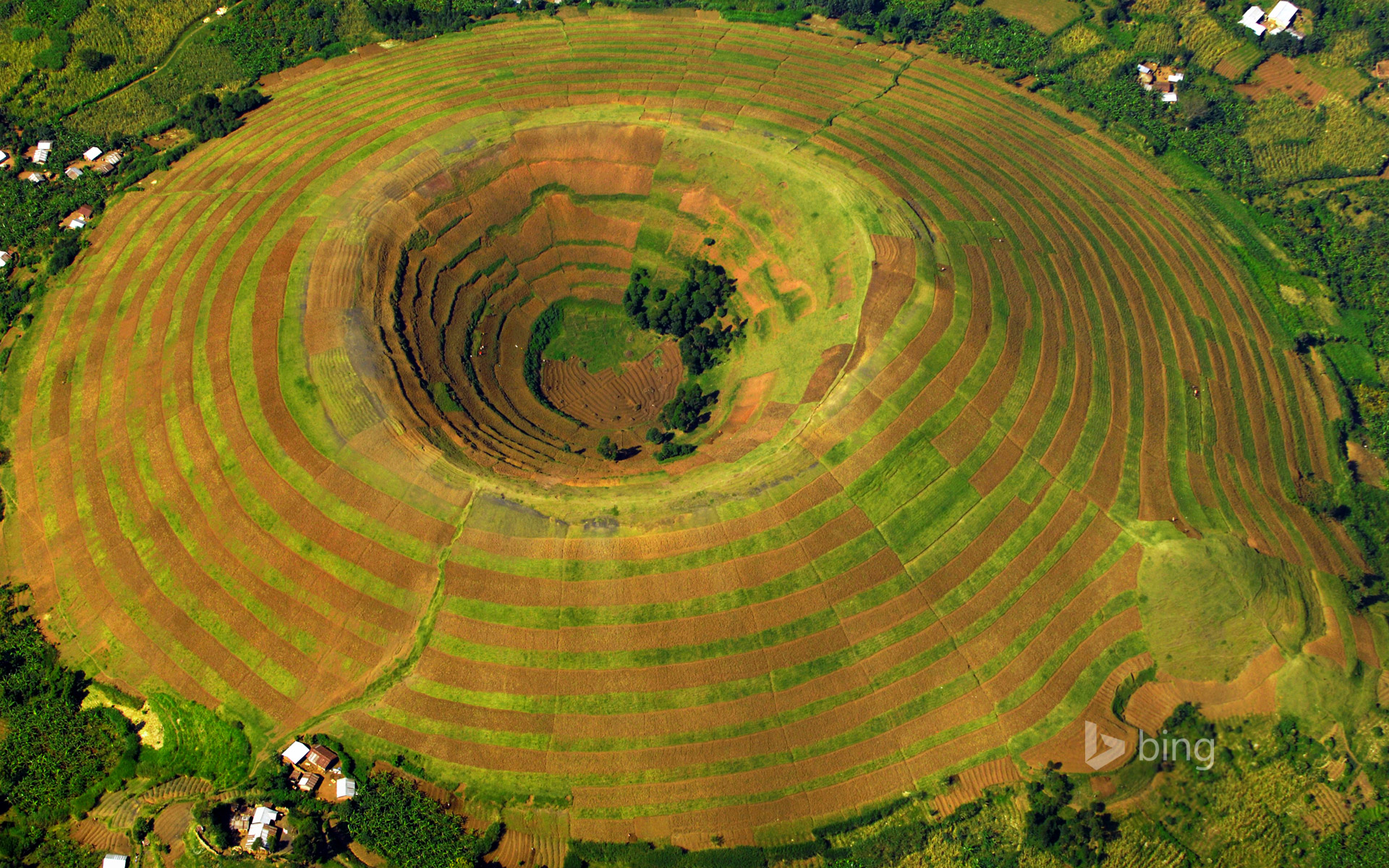 Terrace Farmed Volcano Near Kisoro Uganda Peter Mcbride Axiom