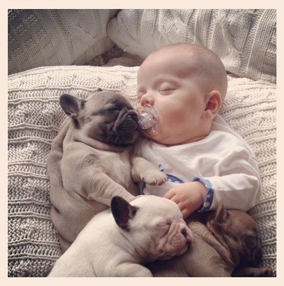 Most Powerful Pictures Of A Baby Covered In French Bulldog Puppies
