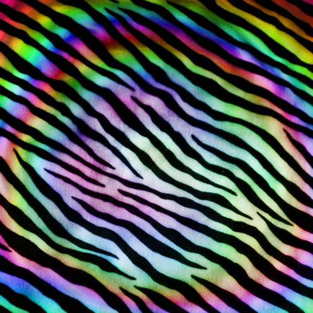 Neon Rainbow Zebra Print Background