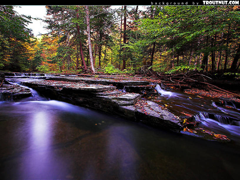 Check Out Our Scenic Wallpaper Named Or Browse From