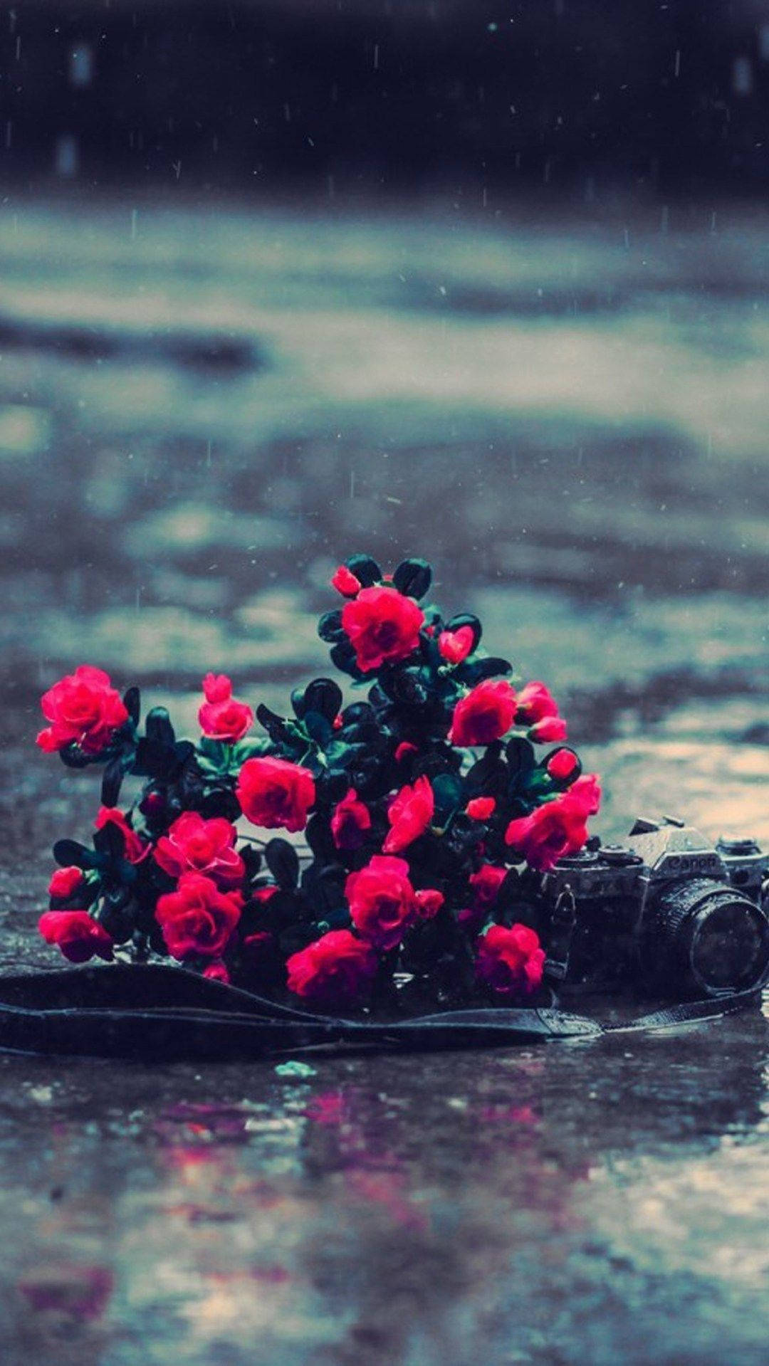 Top Beautiful Rain Wallpaper Full HD 4k To Use