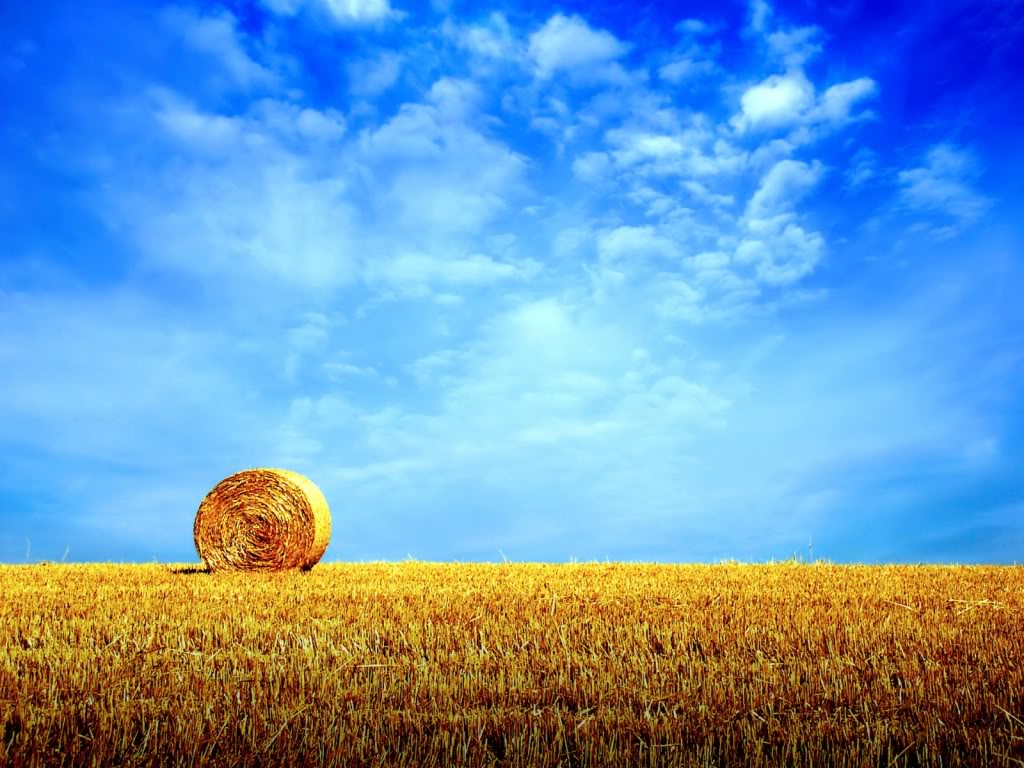 Hay Bale On A Sunny Day Nature Skys Wallpaper Background Bandit