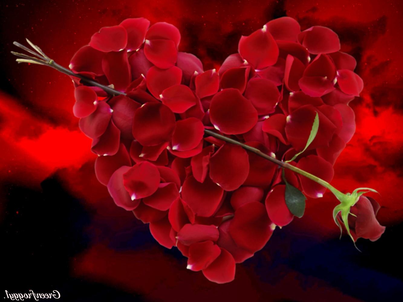 Red Petals Heart Wallpaper HD Pulse