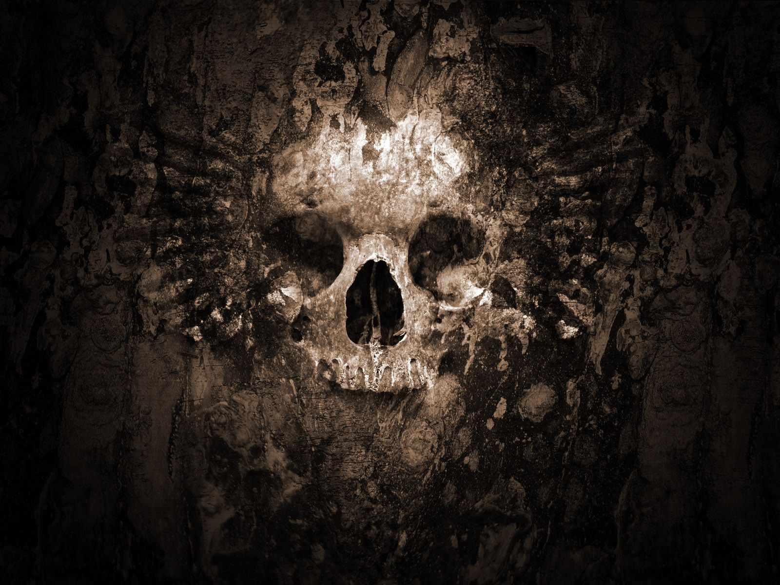 Skull Head Wallpaper