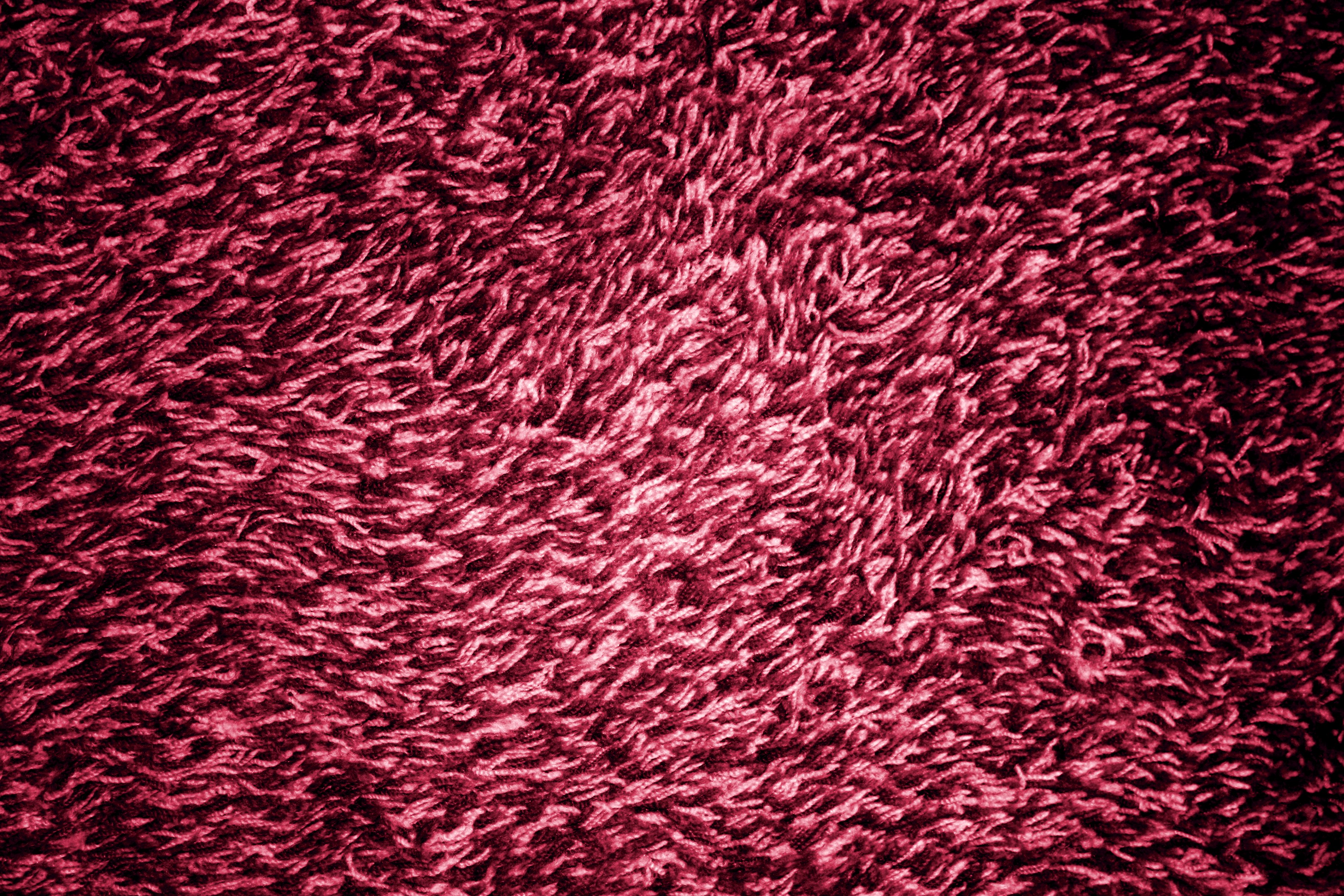 Magenta Or Hot Pink Shag Carpeting Texture Picture