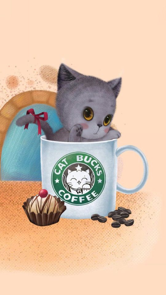 Cat Bucks Coffee Wallpaper   Free iPhone Wallpapers