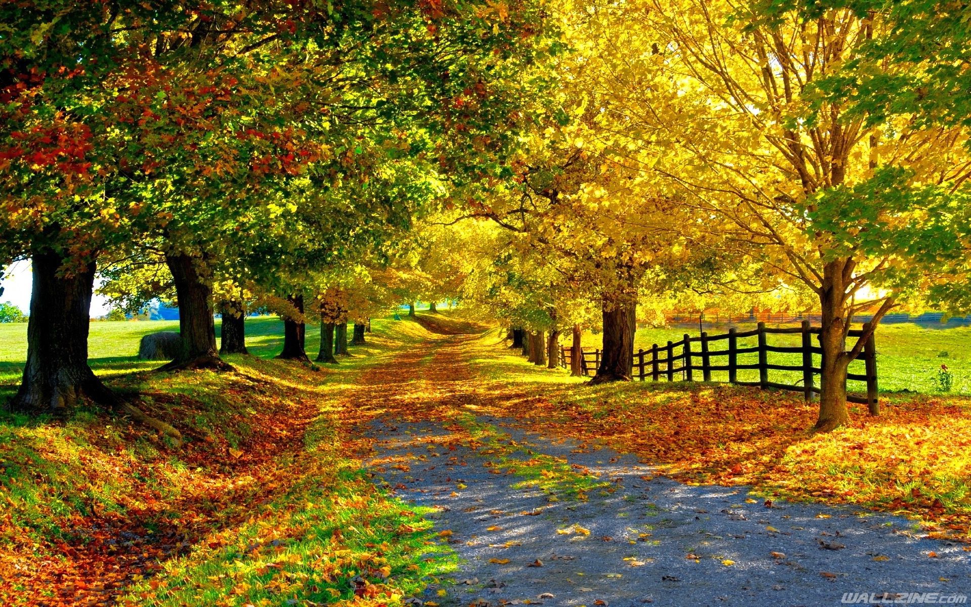 Beautiful Autumn HD Desktop Wallpaper