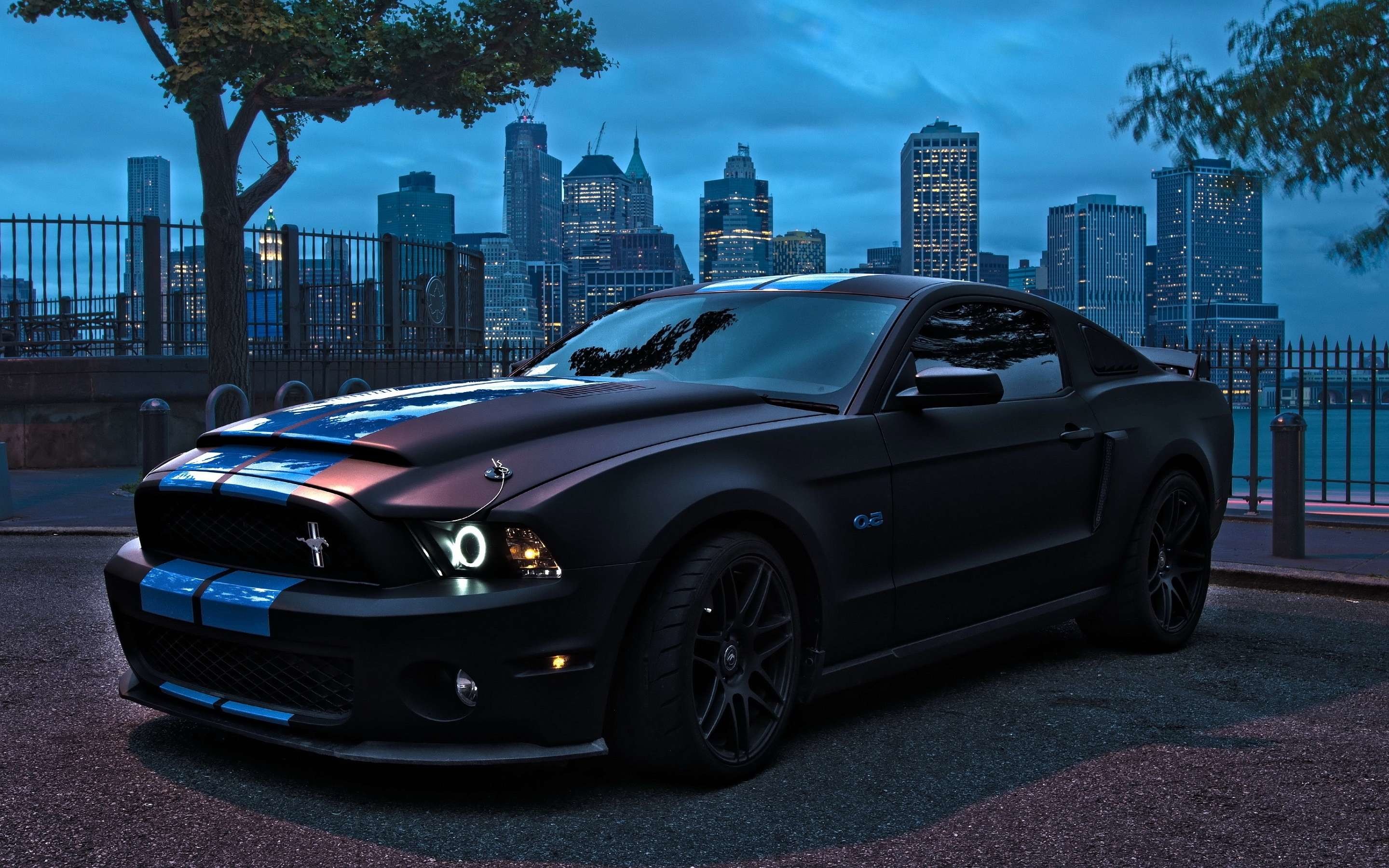 A sleek, black Ford Mustang Shelby GT500 parked by the waterfront with a cityscape in the background