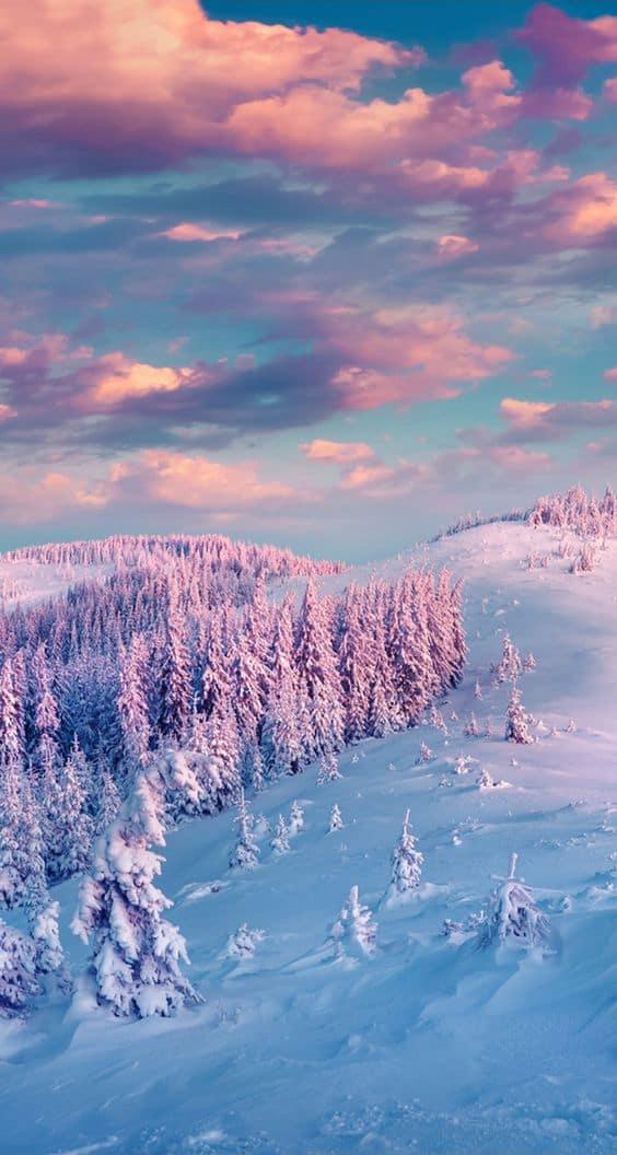 Winter iPhone Wallpaper Cute Background