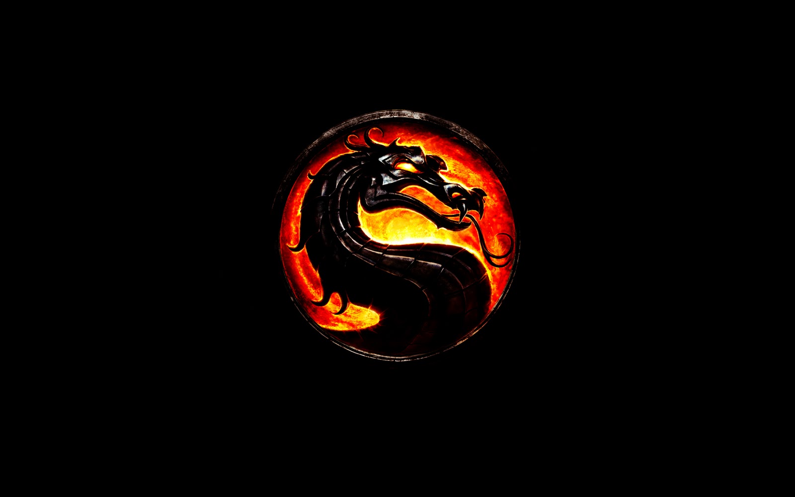 Dragon Logo Designs HD Wallpapers HD Wallpapers Backgrounds Photos 1600x1000