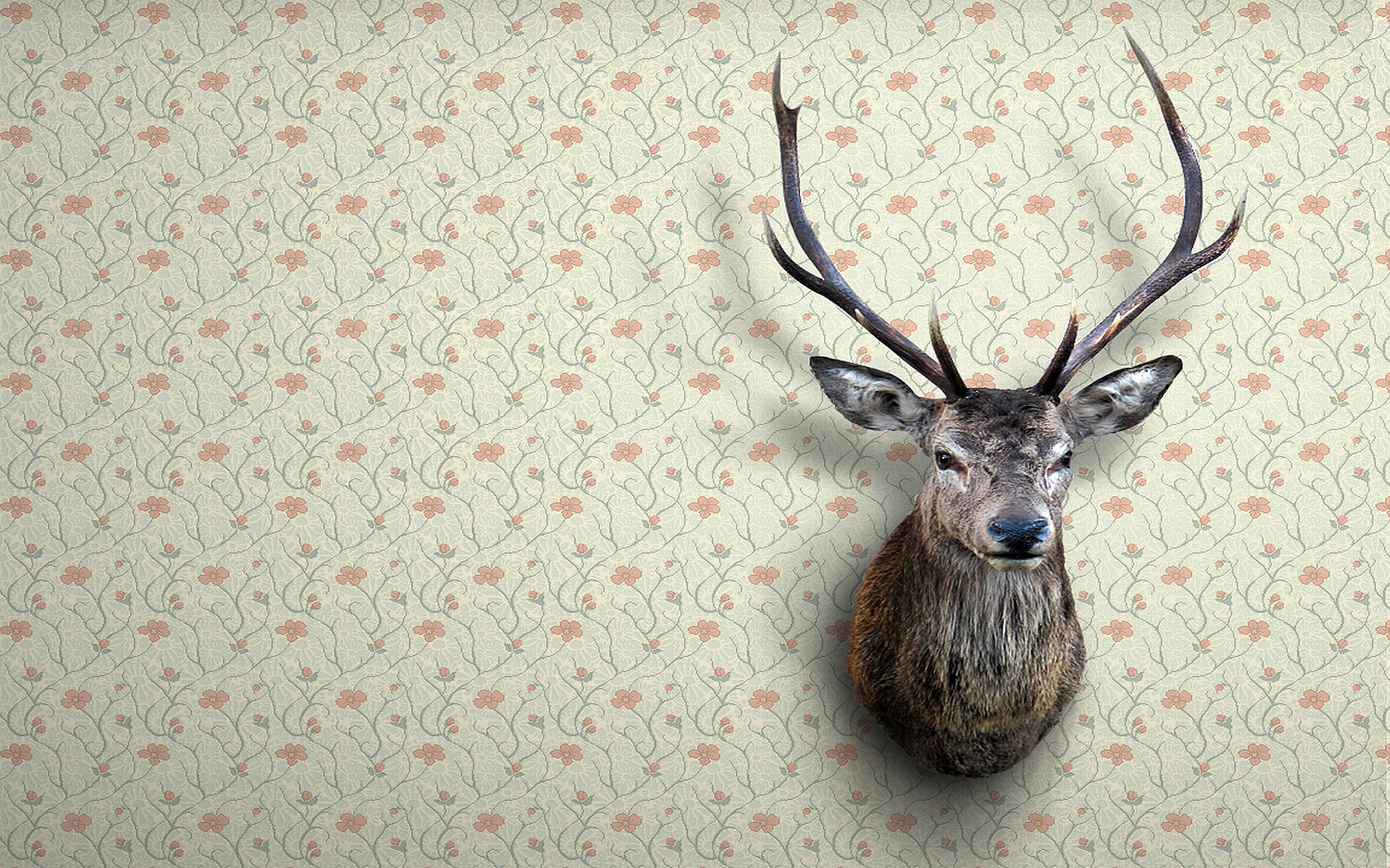 Deer Head Wallpaper