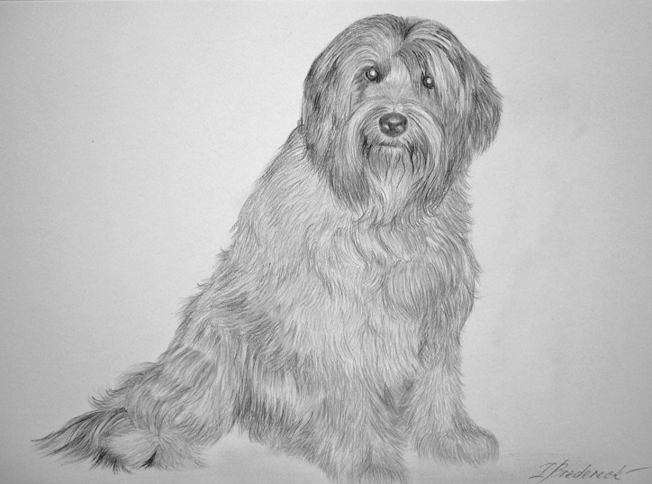 Pencil Arts Of Dog Animal Mobile Sketches Wallpaper Drawing