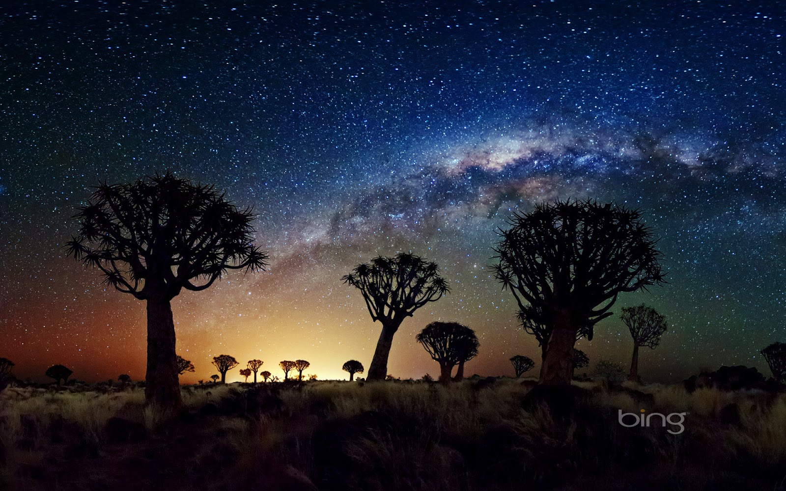 The Milky Way stretches over the Quiver Tree Forest Namibia