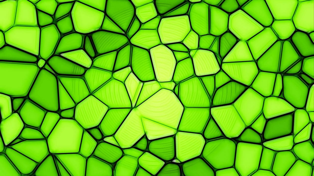 15+] Green Computer Wallpapers - WallpaperSafari