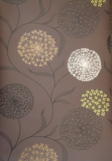 Brown Background With Lime Chocolate And Cream Starburst Dandelion